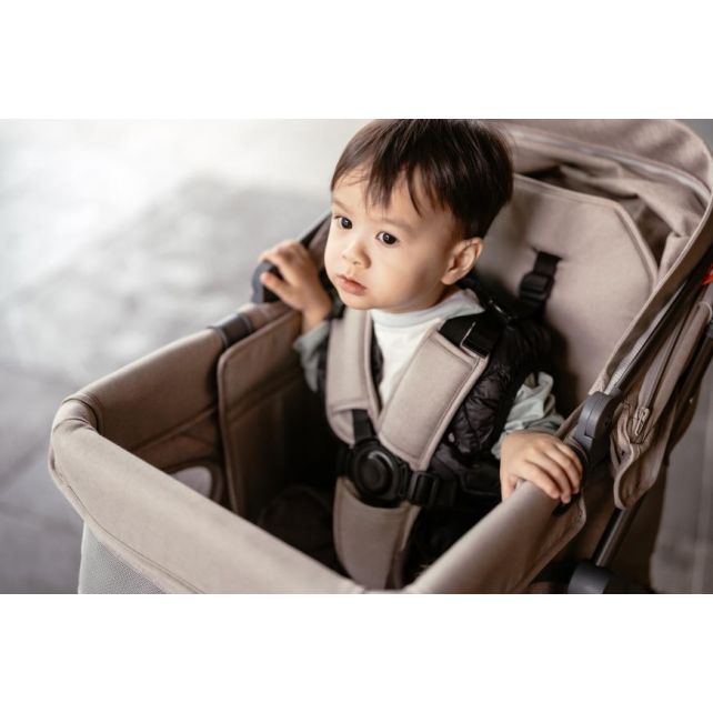 Chariot compact Q1 - Gris