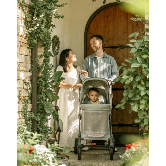 Chariot compact Q1 - Gris