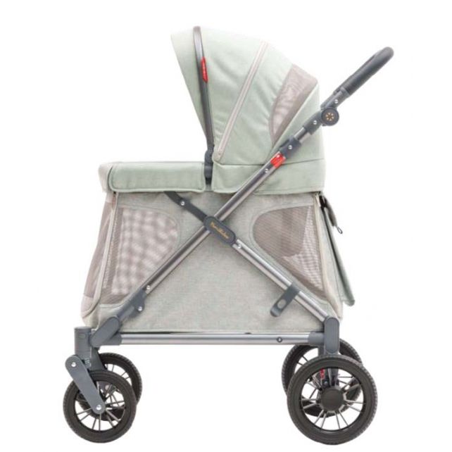 Chariot compact Q1 - Sage Green